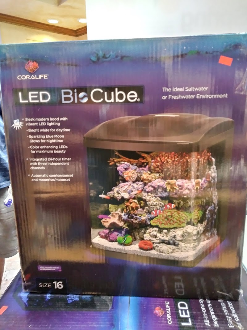 Coral Sea Aquariums - Photo 2