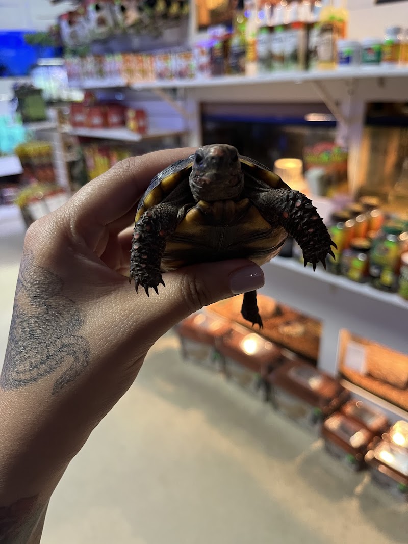 Mark's Ark - Photo 2