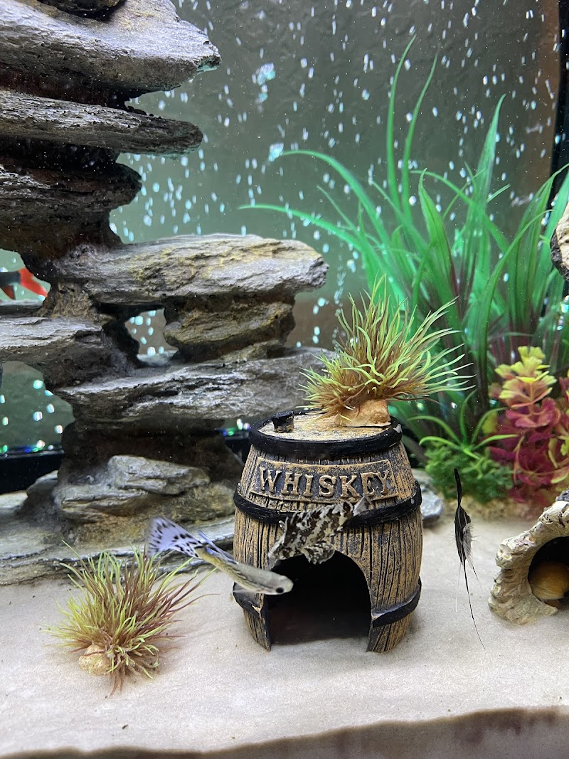 Mark's Ark - Photo 3