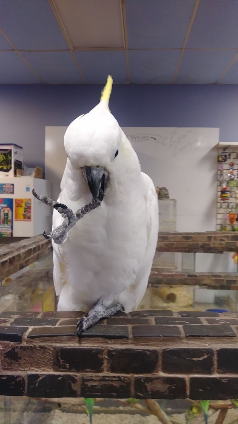 Mark's Ark - Photo 4