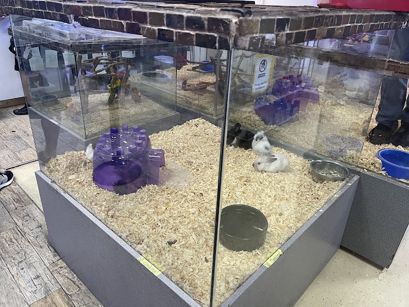 Mark's Ark - Photo 5