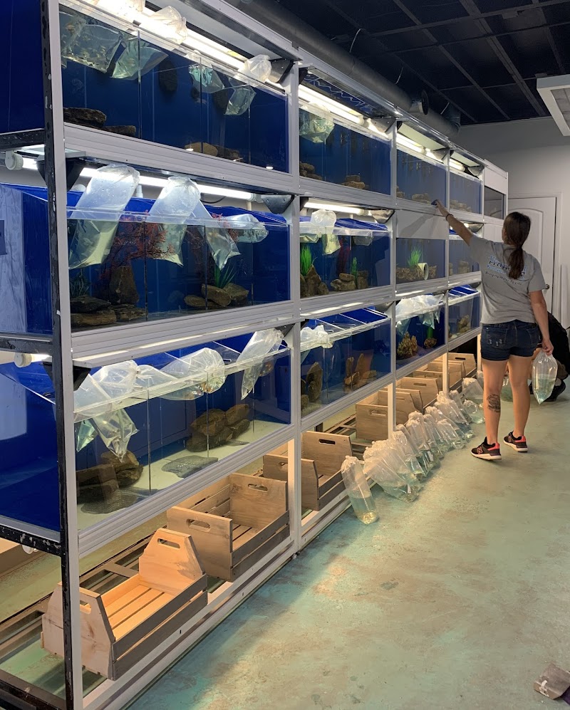 Koi Smart Pond & Aquarium Supply Store - Photo 3