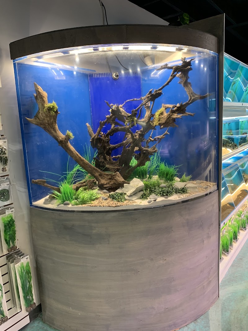 Koi Smart Pond & Aquarium Supply Store - Photo 4