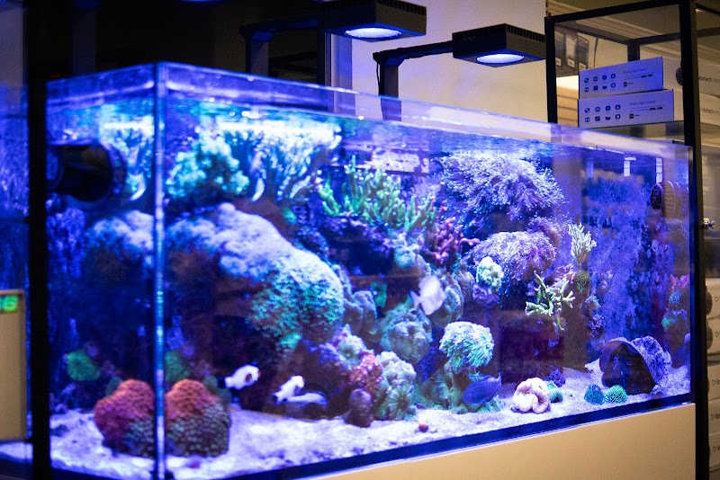 Pure Reef - Photo 2
