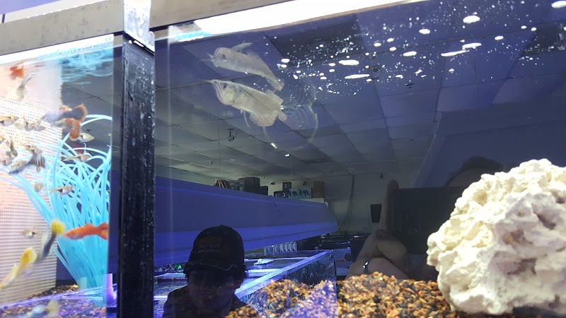 Atlanta aquarium - Photo 3