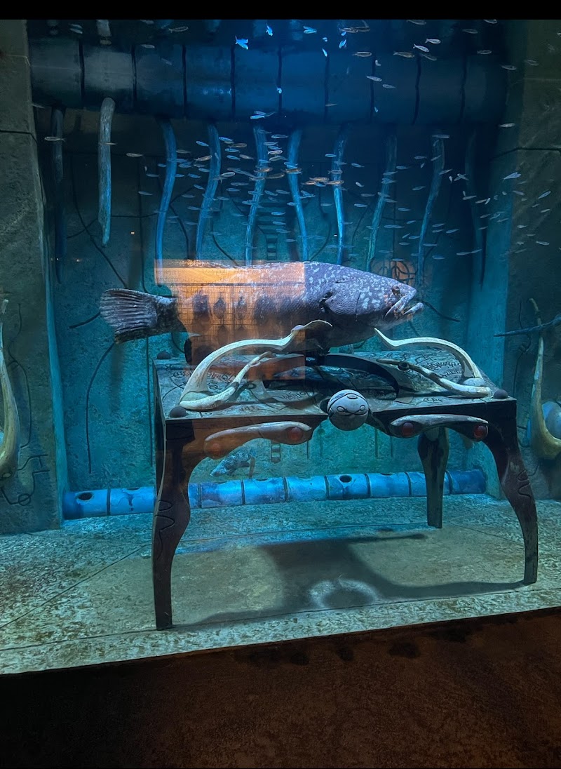 Atlanta aquarium - Photo 4