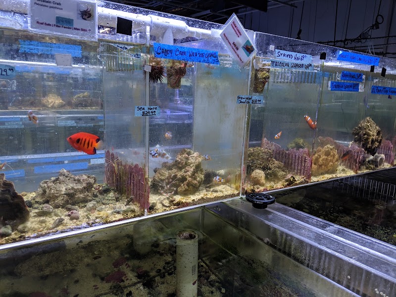 The Fish Store - Photo 2