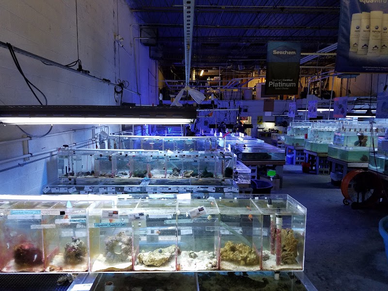 The Fish Store - Photo 3