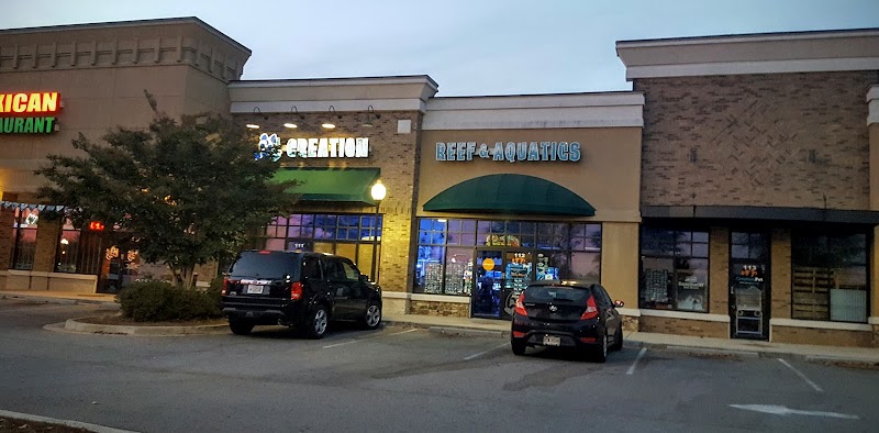 Creation Pet - Photo 1