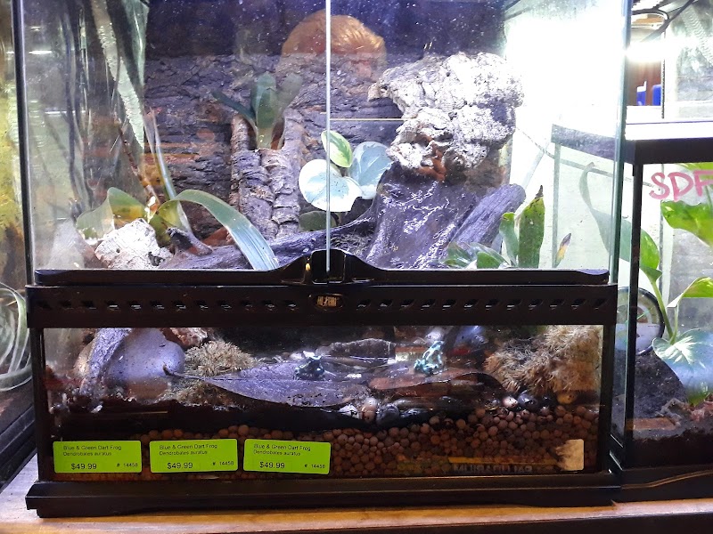 Creation Pet - Photo 3