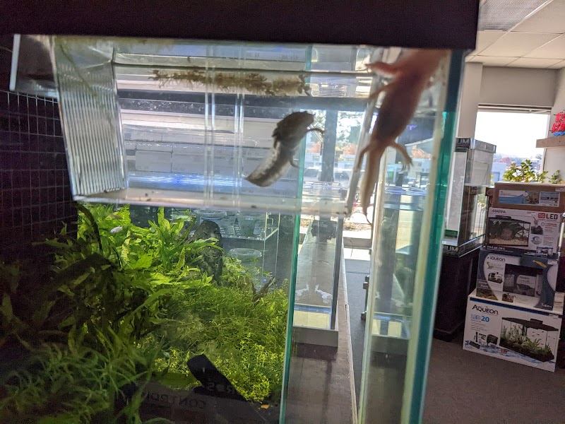 Optimum Aquarium - Photo 1