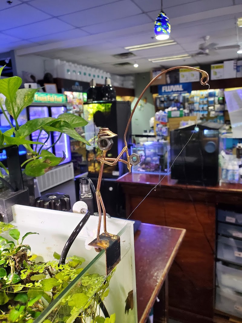 Optimum Aquarium - Photo 4