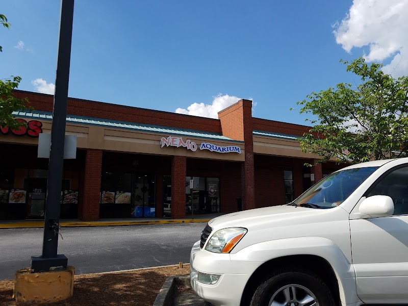 Nemo Aquarium - Photo 1
