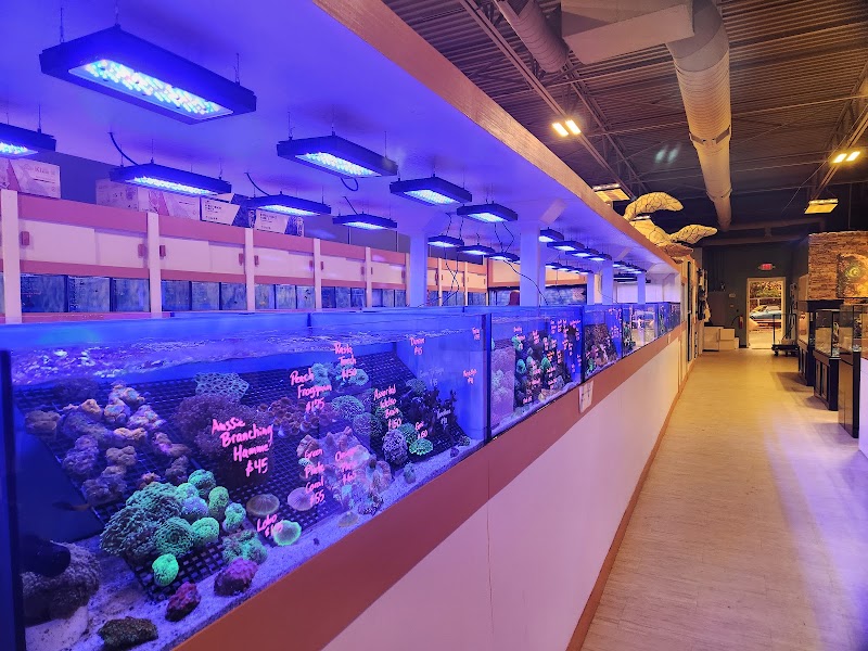 Nemo Aquarium - Photo 2