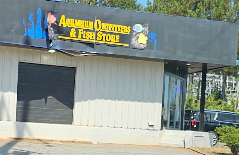 Fish Gallery - Athens - Photo 1