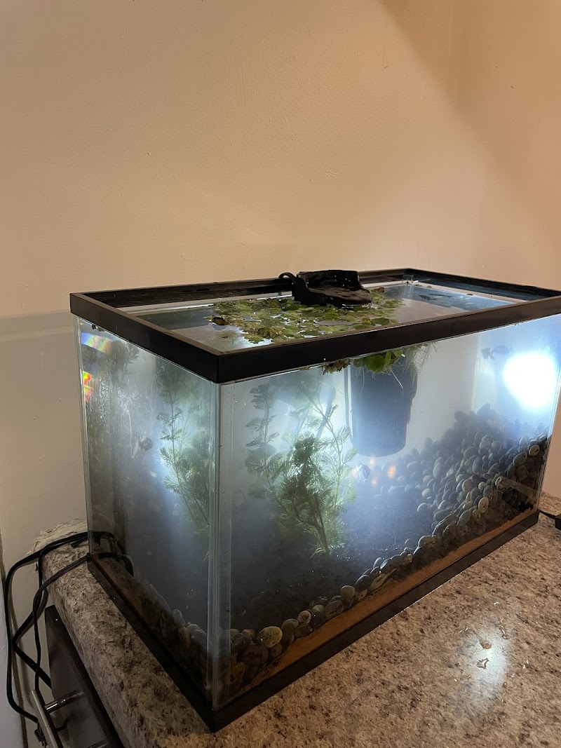 Fish Gallery - Athens - Photo 4