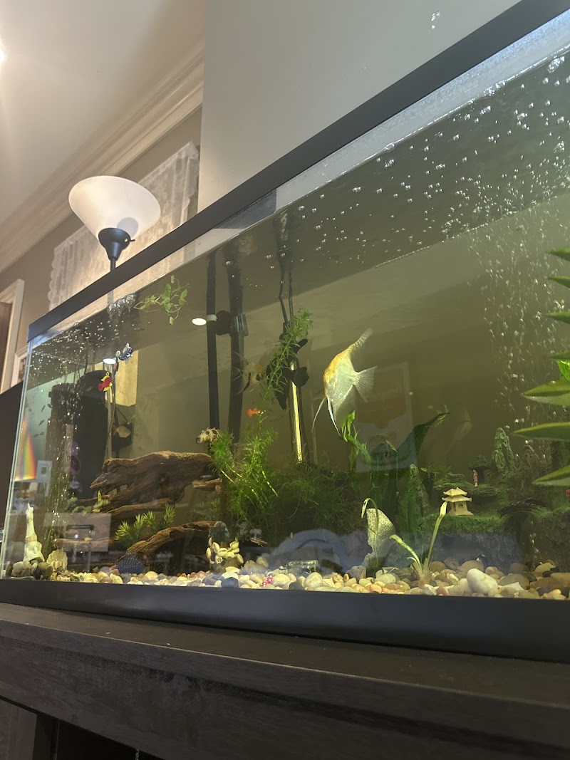 Fish Gallery - Athens - Photo 5