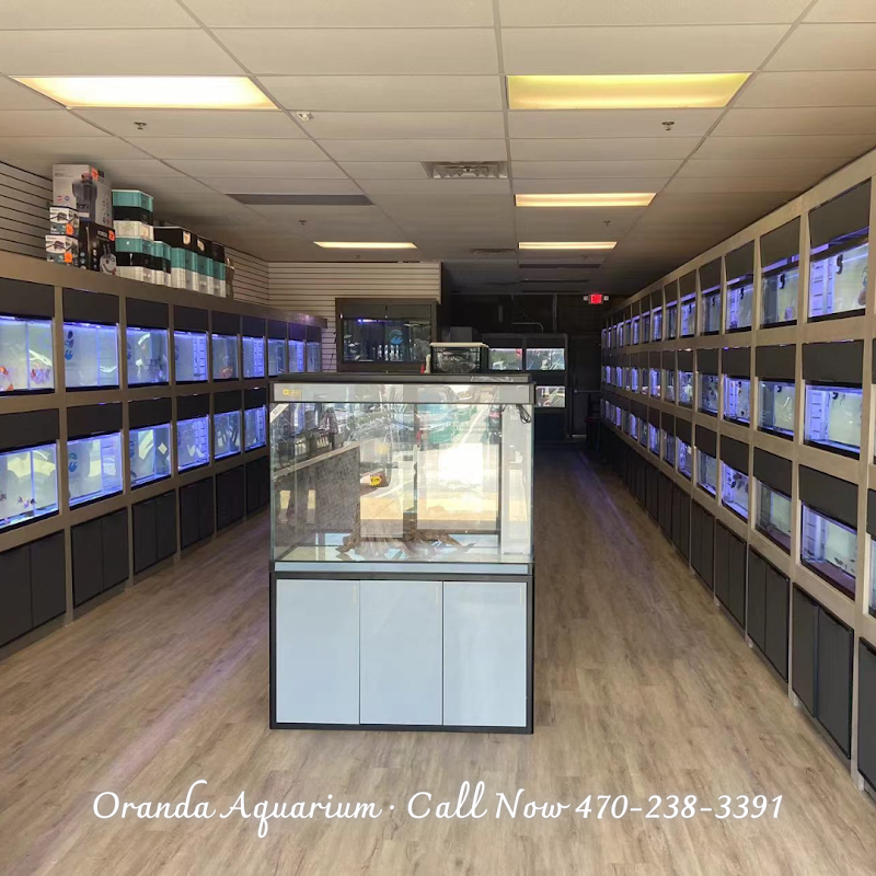 Oranda Aquarium - Photo 3