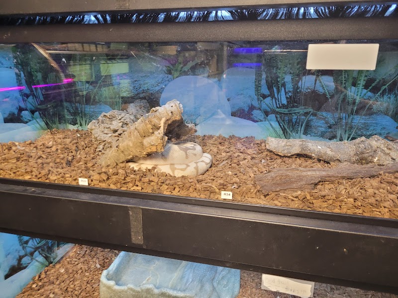 Fish Bowl & More - Photo 4