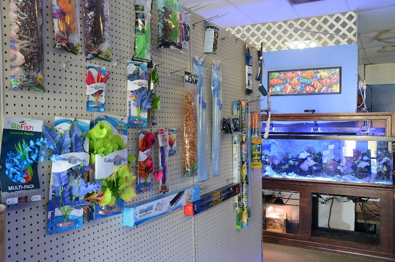 Coastal Aquarium - Photo 2