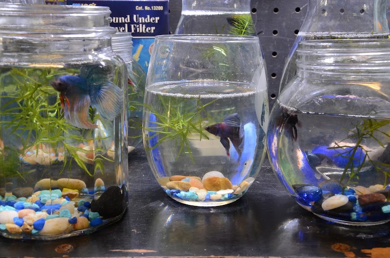 Coastal Aquarium - Photo 3