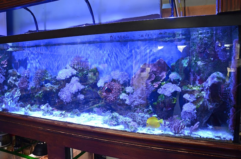 Coastal Aquarium - Photo 4