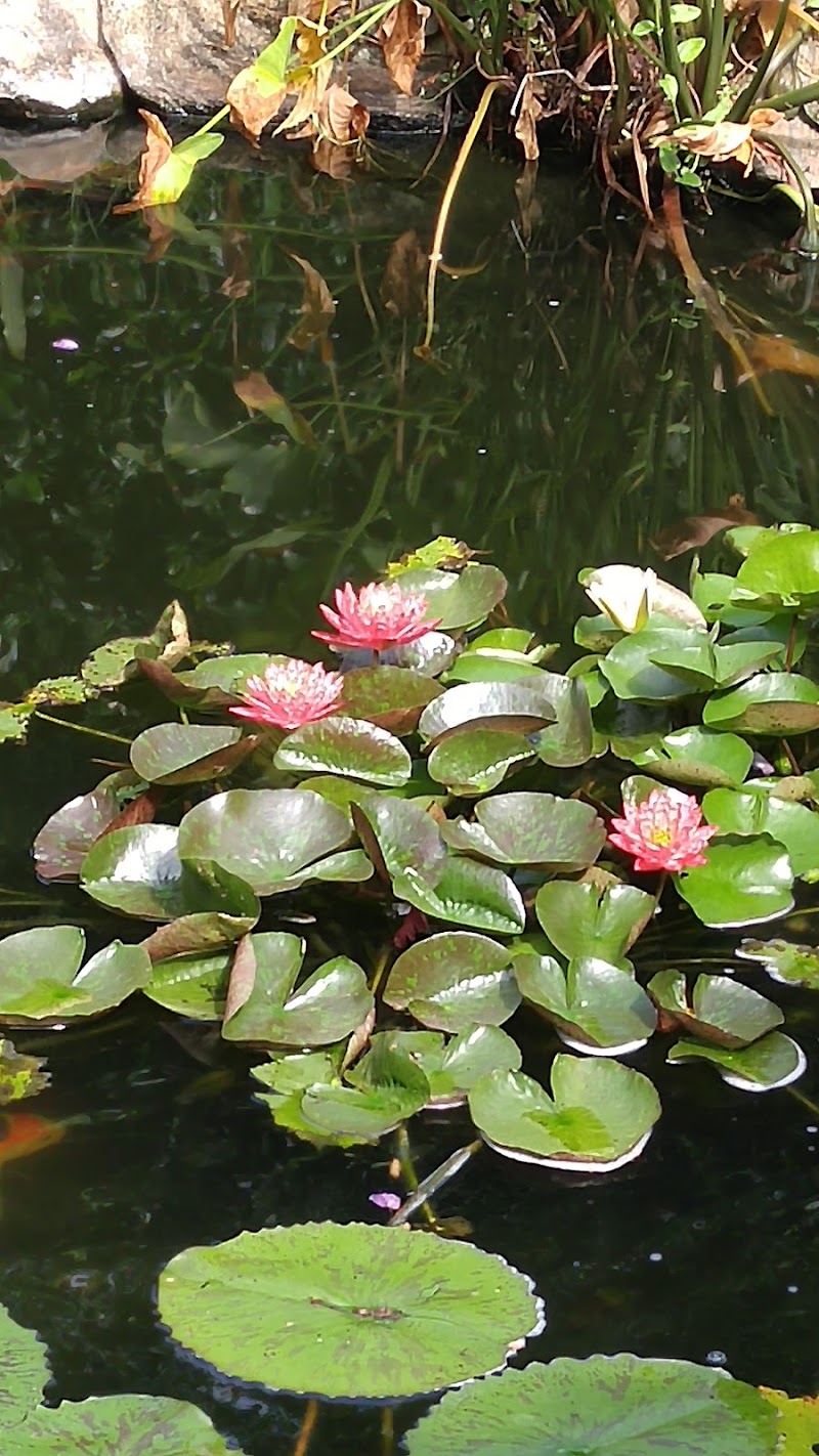 Exotic Aquatics Inc - Photo 3