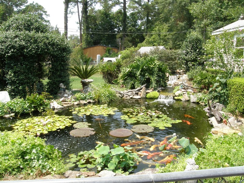 Exotic Aquatics Inc - Photo 4