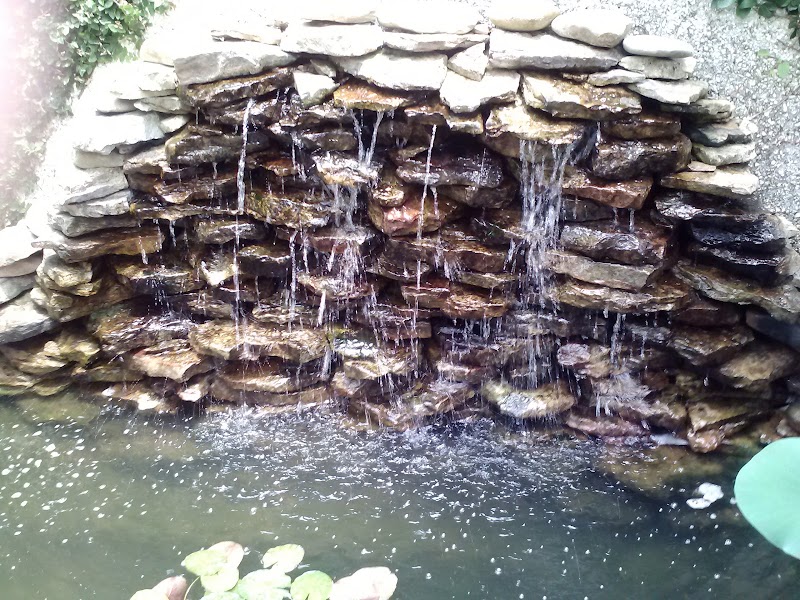 Exotic Aquatics Inc - Photo 5