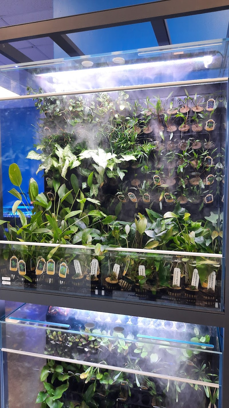 Aquarium Eden - Photo 2