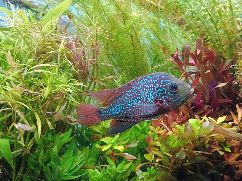 Aquarium Eden - Photo 3