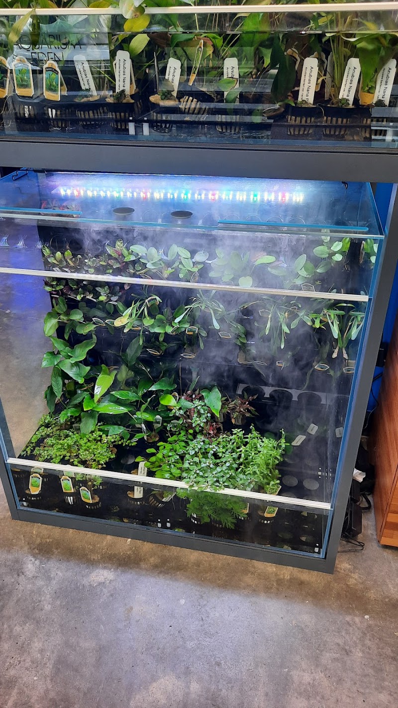 Aquarium Eden - Photo 4