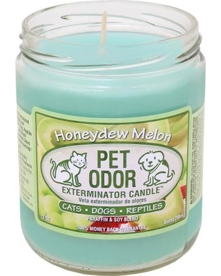 FISH WORLD AND PET SHOP, LLC - Photo 4