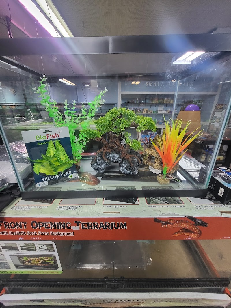 Addictive Aquatics - Photo 2