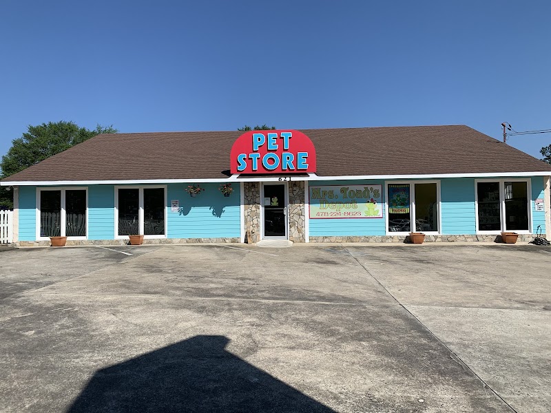 Mrs. Toad's Depot - Photo 1