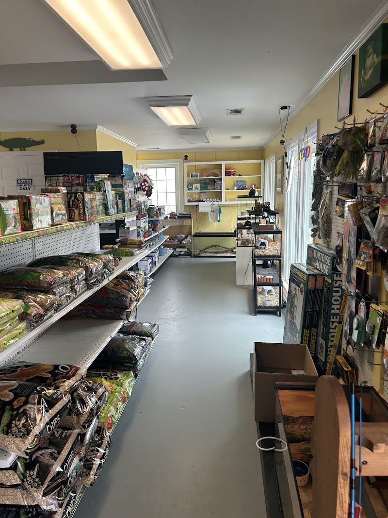 Mrs. Toad's Depot - Photo 3