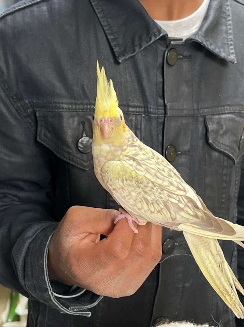 Mrs. Toad's Depot - Photo 4