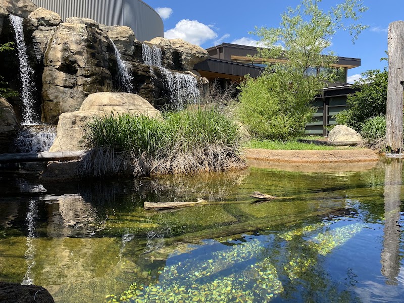 Go Fish Education Center - Photo 1