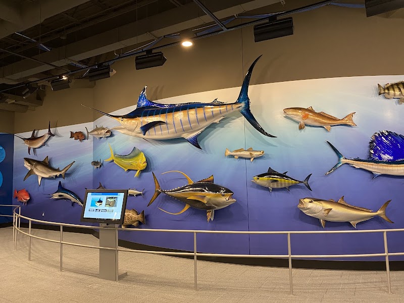 Go Fish Education Center - Photo 4