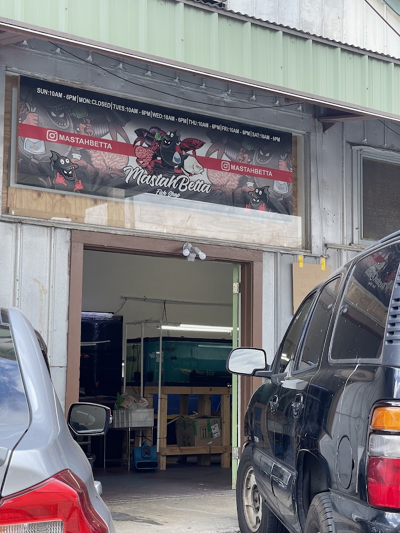 MastahBetta Fish Shop - Photo 1
