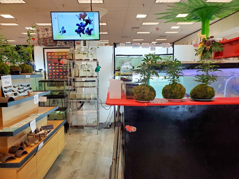 MastahBetta Fish Shop - Photo 2