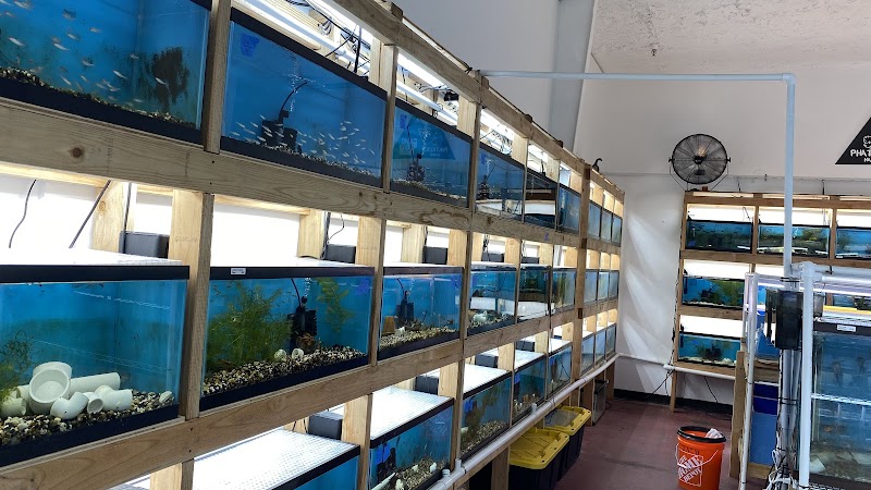 MastahBetta Fish Shop - Photo 3