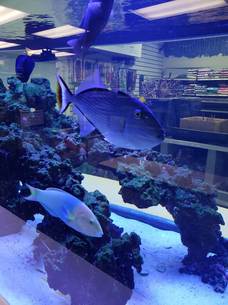 Premier Aquatics - Photo 4