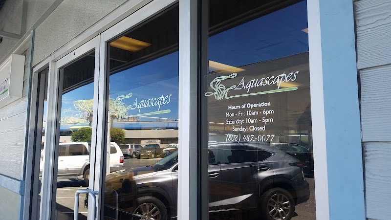 Aquascapes - Photo 1