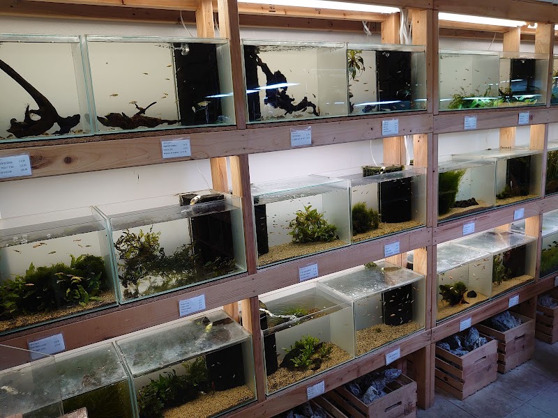 Aquascapes - Photo 2
