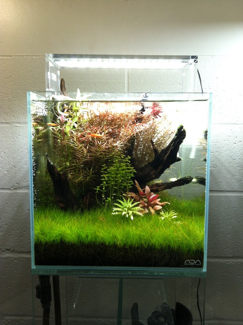 Aquascapes - Photo 3