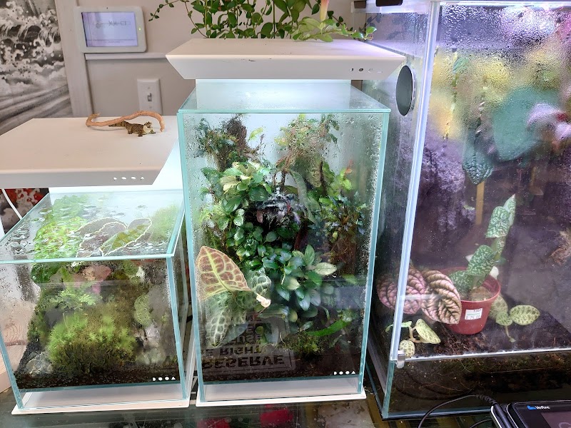 Aquascapes - Photo 4