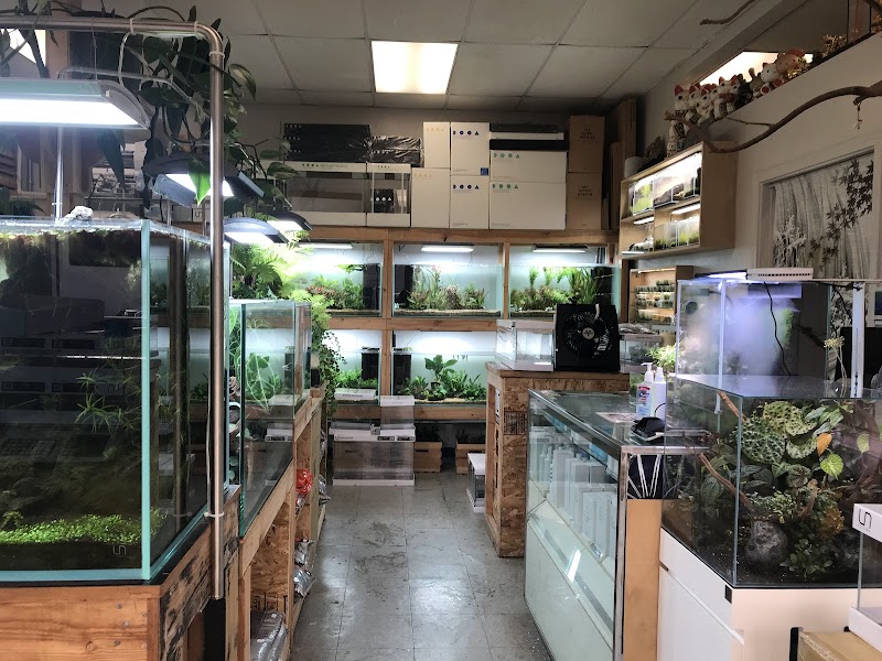 Aquascapes - Photo 5