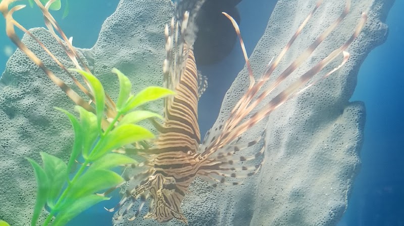 Crowned Aquatics Pet Supply - Photo 2