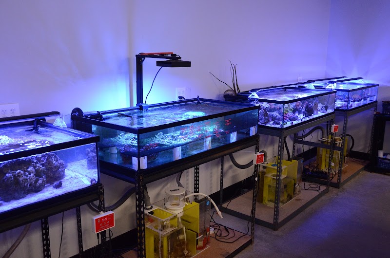 Crowned Aquatics Pet Supply - Photo 3